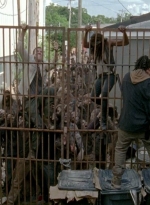 twd0603-2441.jpg