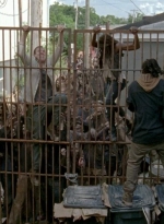 twd0603-2442.jpg