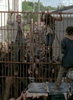 twd0603-2443.jpg