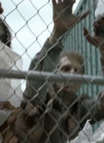 twd0603-2460.jpg