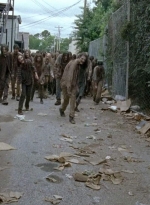 twd0603-2472.jpg