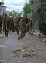 twd0603-2473.jpg