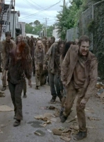 twd0603-2478.jpg