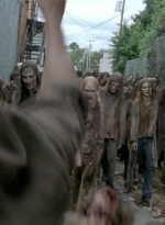 twd0603-2487.jpg