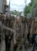 twd0603-2489.jpg