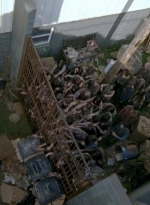 twd0603-2595.jpg