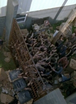 twd0603-2596.jpg