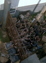 twd0603-2597.jpg