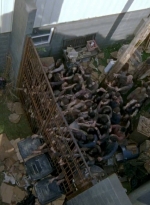 twd0603-2600.jpg