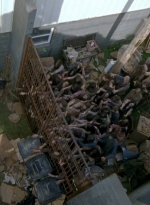 twd0603-2601.jpg