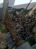 twd0603-2602.jpg