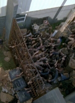 twd0603-2604.jpg