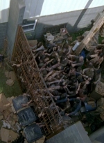 twd0603-2605.jpg