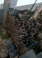 twd0603-2606.jpg