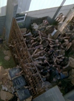 twd0603-2607.jpg