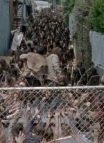 twd0603-2630.jpg