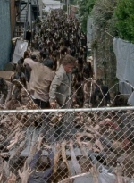 twd0603-2631.jpg