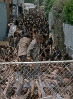 twd0603-2632.jpg