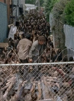 twd0603-2633.jpg