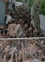 twd0603-2635.jpg