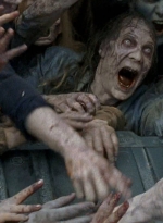 twd0603-2646.jpg