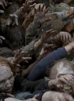 twd0603-2694.jpg