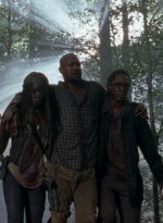 twd0603-2838.jpg