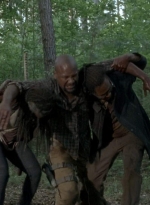 twd0603-2860.jpg