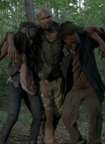 twd0603-2861.jpg