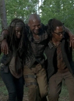 twd0603-2863.jpg