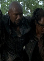 twd0603-2869.jpg