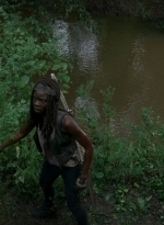 twd0603-2906.jpg