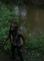 twd0603-2908.jpg