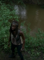 twd0603-2909.jpg