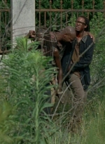 twd0603-3436.jpg