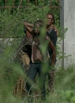 twd0603-3440.jpg