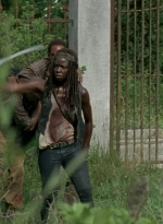 twd0603-3442.jpg