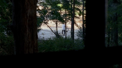 twd0604-1324.jpg