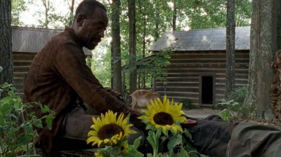 twd0604-2445.jpg