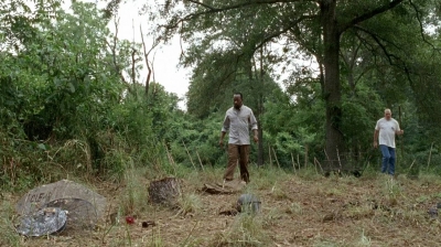 twd0604-3383.jpg