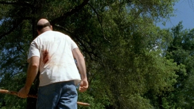 twd0604-3746.jpg