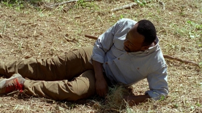twd0604-3779.jpg