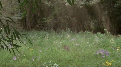 twd0604-3966.jpg