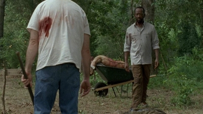 twd0604-4021.jpg