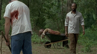 twd0604-4023.jpg