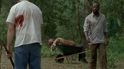 twd0604-4024.jpg