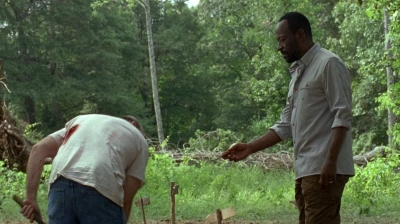 twd0604-4035.jpg