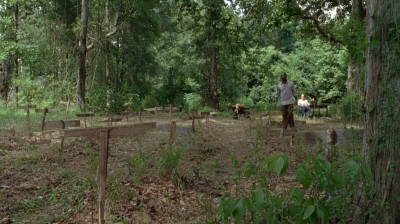 twd0604-4085.jpg