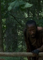 twd0604-0806.jpg