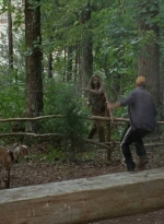 twd0604-1104.jpg